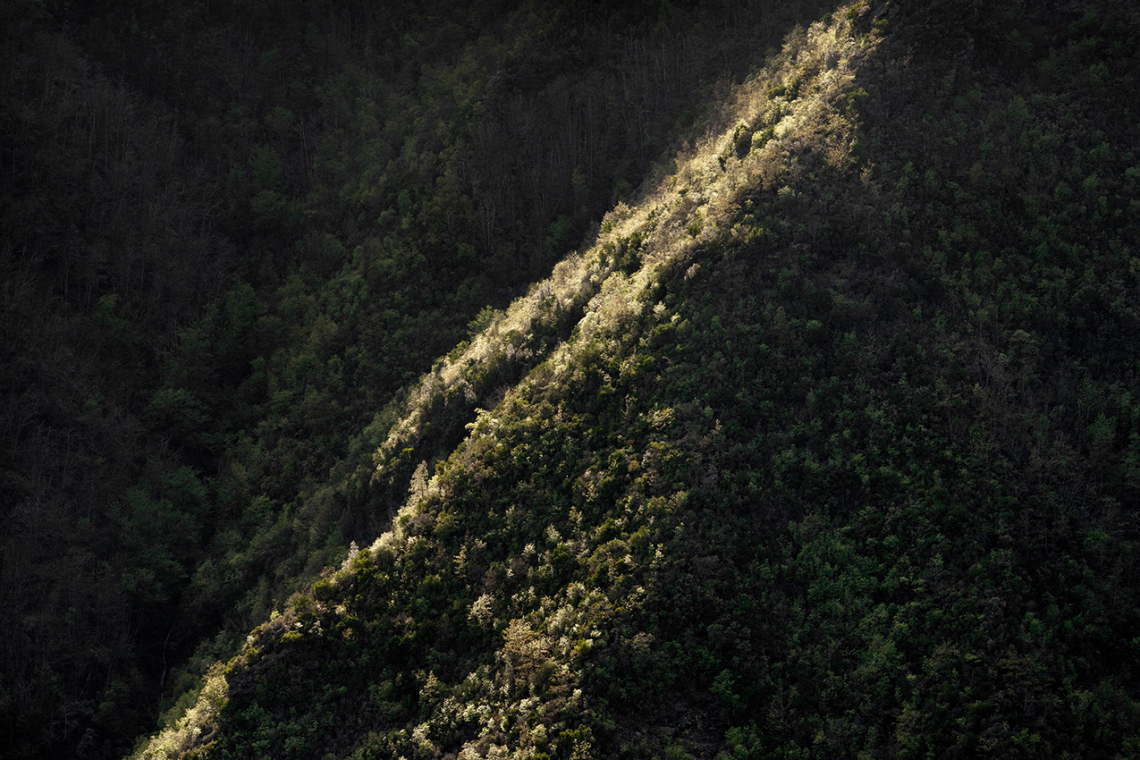 Borders #47 Borders #47